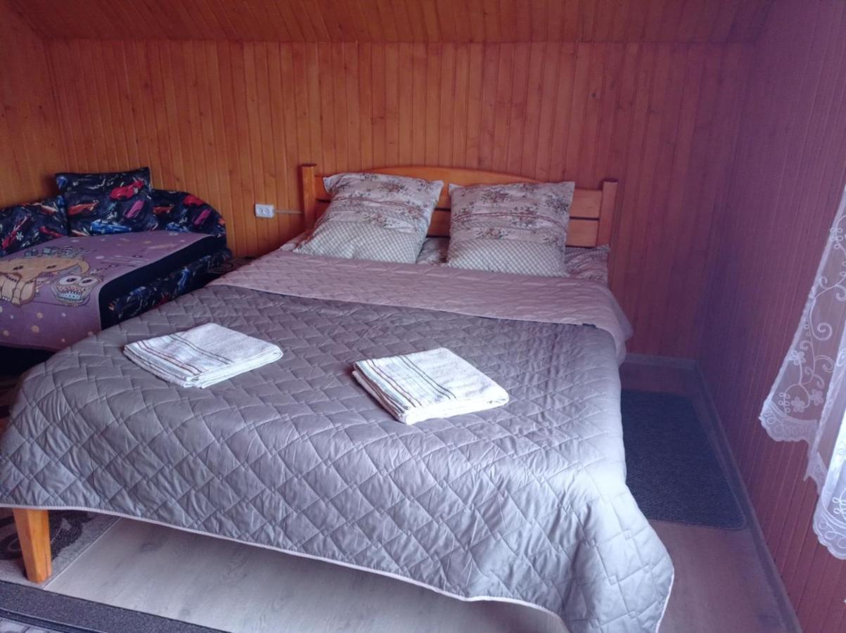 Romashka Guest House 야블루니츠야 외부 사진