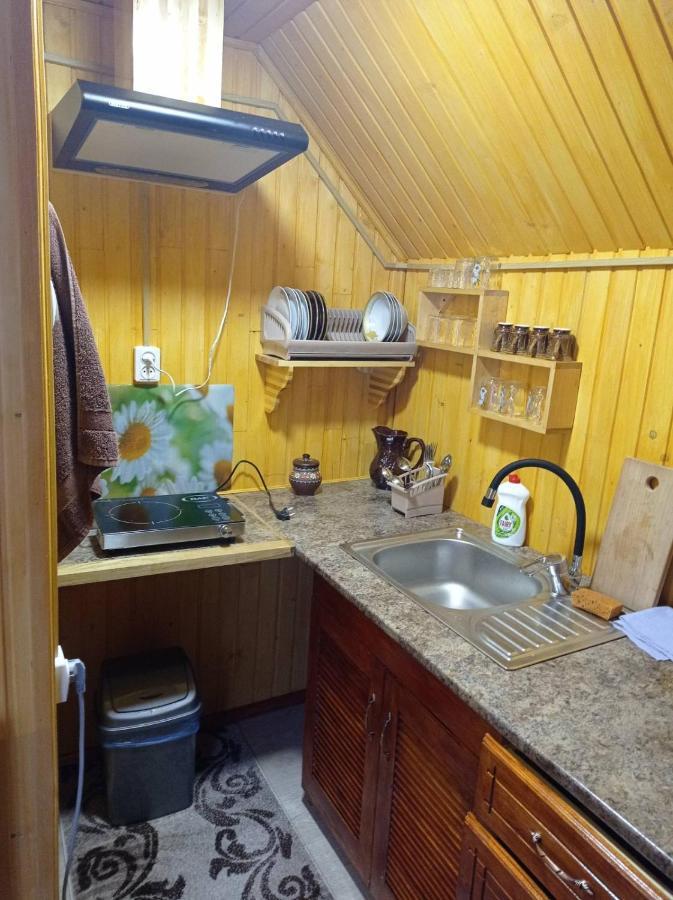 Romashka Guest House 야블루니츠야 외부 사진