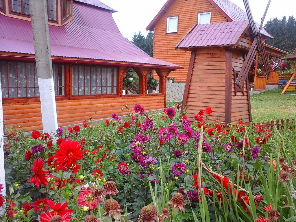 Romashka Guest House 야블루니츠야 외부 사진