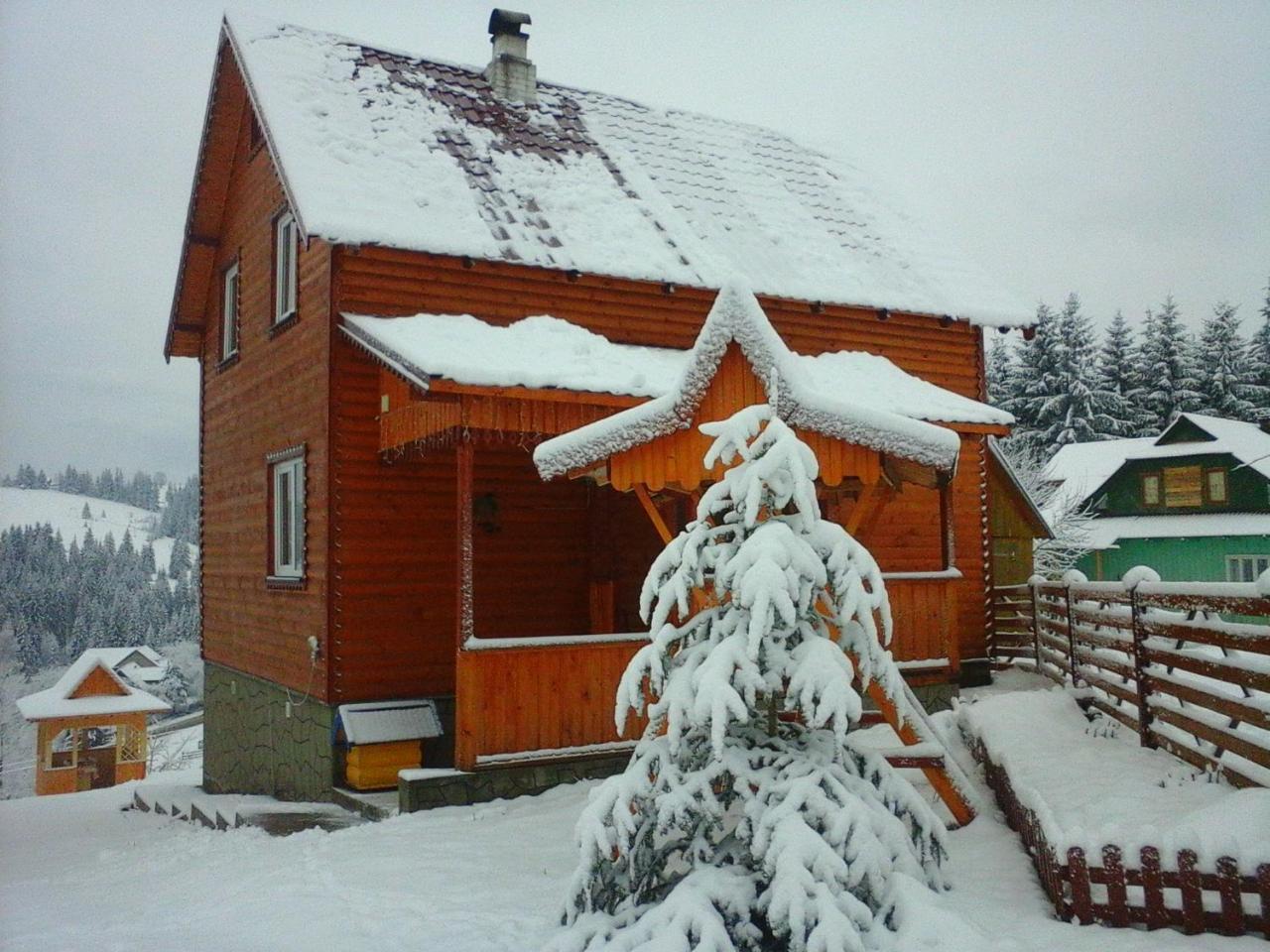 Romashka Guest House 야블루니츠야 외부 사진